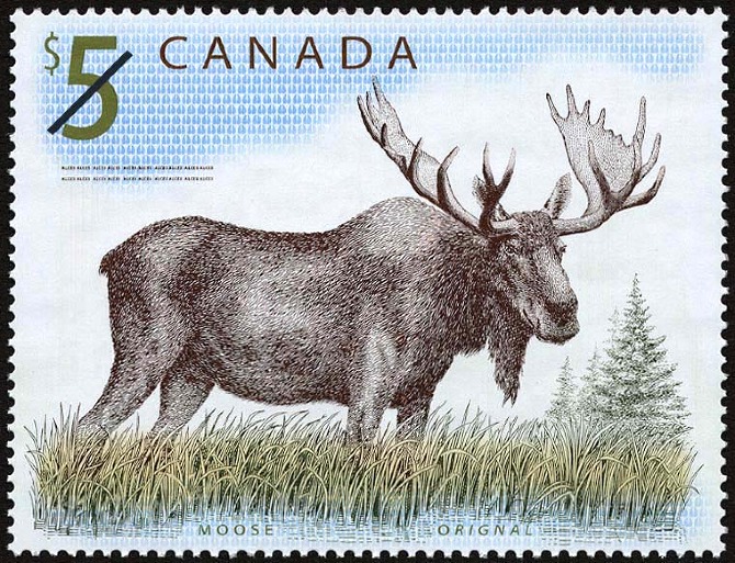 5-dollar Canadian stamp with moose